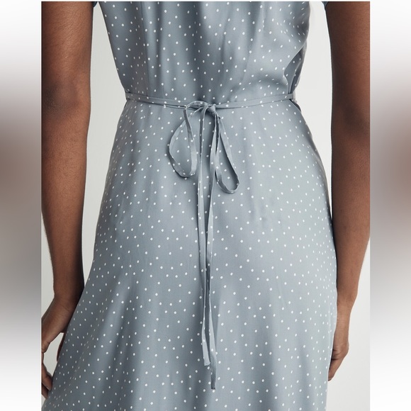Madewell | Leedra Button-Front Midi Dress in Dot - Picture 4 of 7